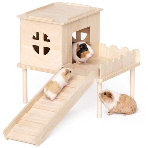 Chuiendi guinea pig hideout - guinea,
