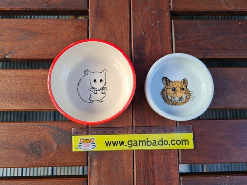Pair hamster mice - pair, of