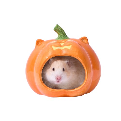 Tafit pumpkin shaped - pumpkin,