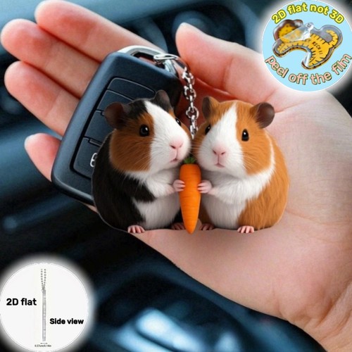 Mini couple guinea pig - couple,